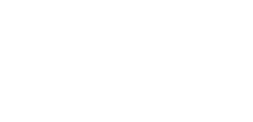 SNMR Dev